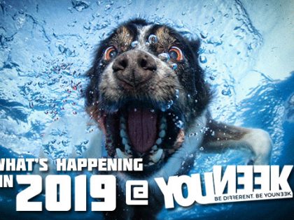 Awesomeness to come from Youneek in 2019!