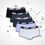 Womens Variety Pack Classic Boylegs (Pack Of 5)