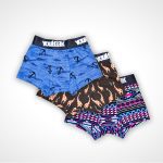Funky Boys Trunks (Pack Of 3)