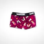 Festive Llamas Boyleg Ladies Underwear